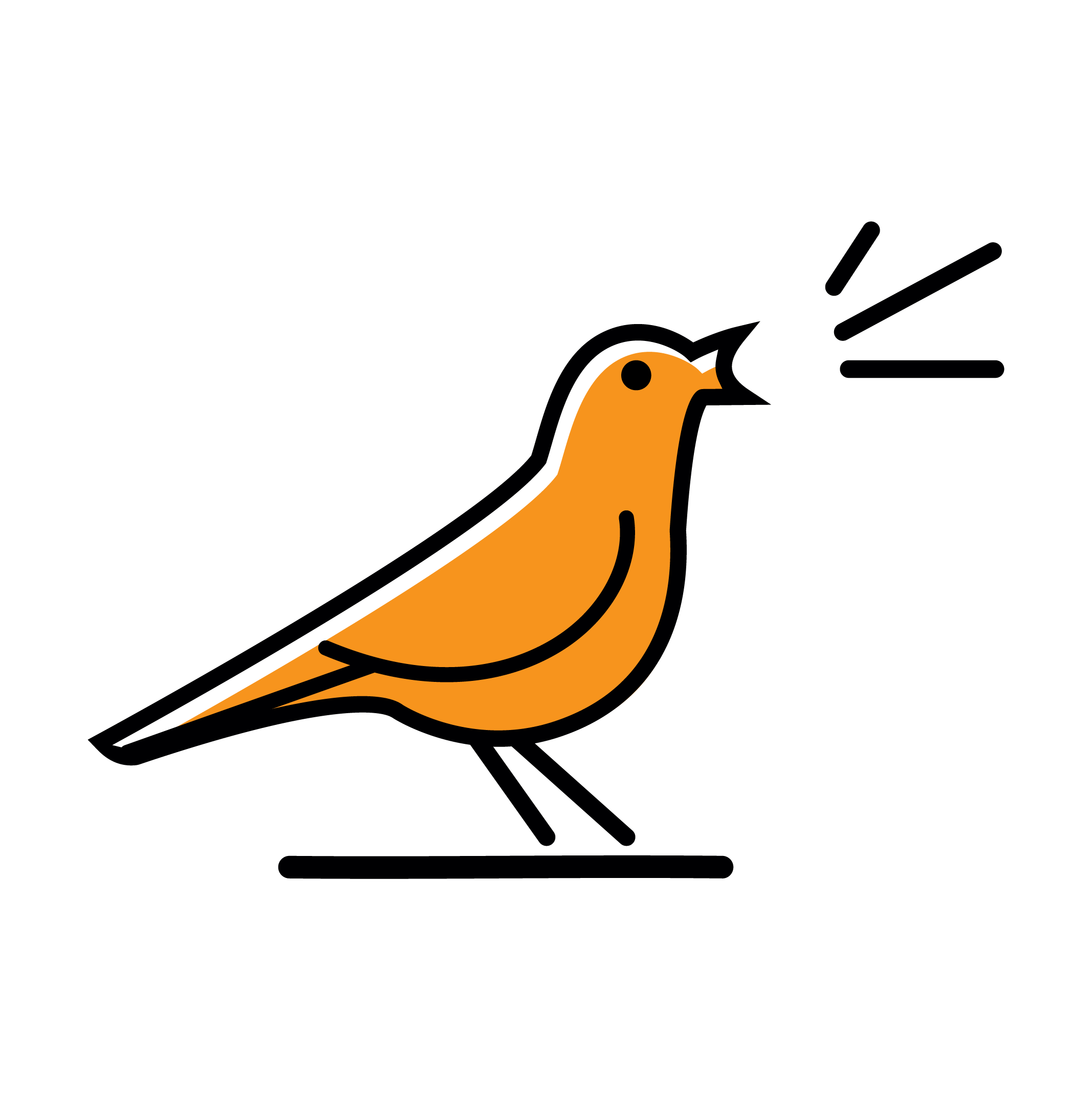 News Blog