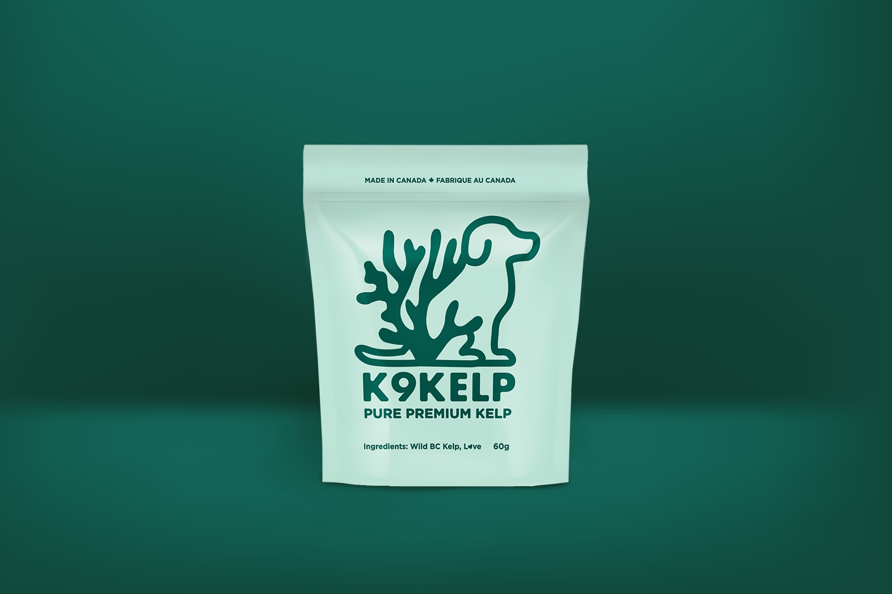 2019: K9 Kelp