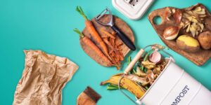 Composting Guide for Geniuses Like You
