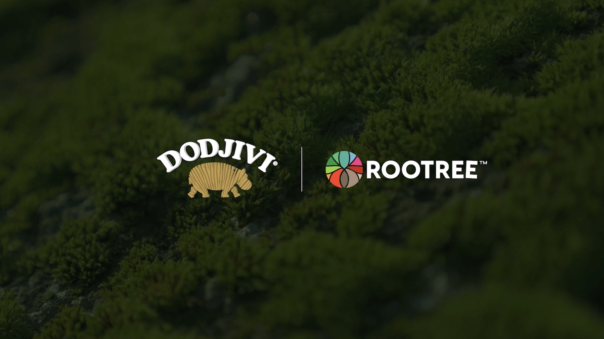 Rootree