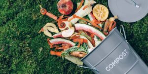 How to Compost Like a Pro