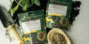 RT Foundation: Bring a slice of wildflower paradise to your garden with Northern Wildflowers